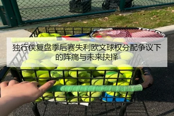 独行侠复盘季后赛失利欧文球权分配争议下的阵痛与未来抉择